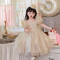 Children's Clothing Western Style Fashion Older Princess Skirt Children's Dress